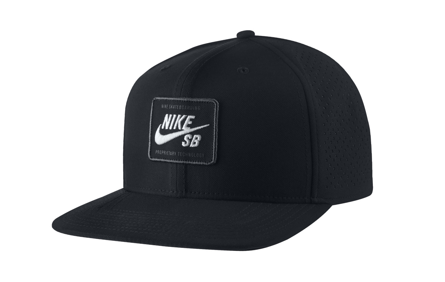 Nike SB Aerobill Pro Cap 2.0 (BV2659-010)
